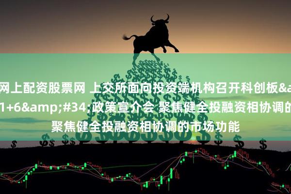 网上配资股票网 上交所面向投资端机构召开科创板&#34;1+6&#34;政策宣介会 聚焦健全投融资相协调的市场功能