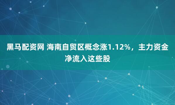 黑马配资网 海南自贸区概念涨1.12%，主力资金净流入这些股